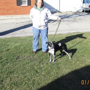 Meet your Posher, Dawn